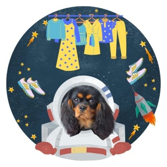 Meet your Posher, Charlotte - Picture 3 of 3